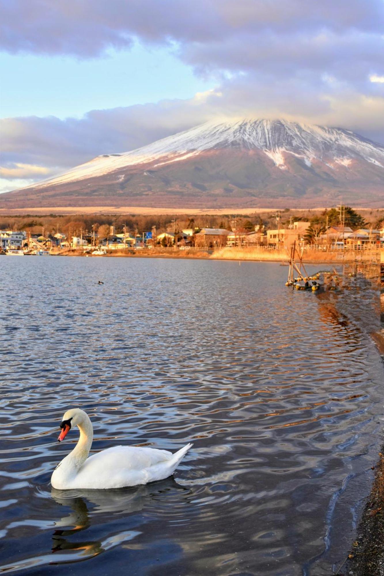 Hotel Mt. Fuji Yamanakako Zewnętrze zdjęcie