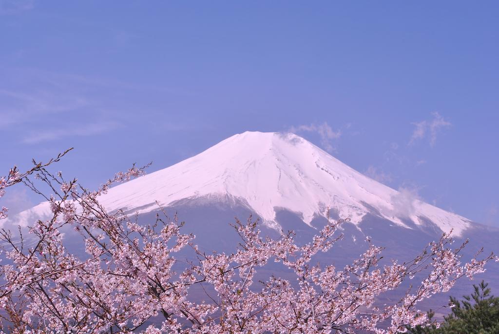 Hotel Mt. Fuji Yamanakako Zewnętrze zdjęcie